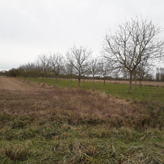  Agence Cosi : Ground | MONTAULIN (10270) | 0 m2 | 35 000 € 