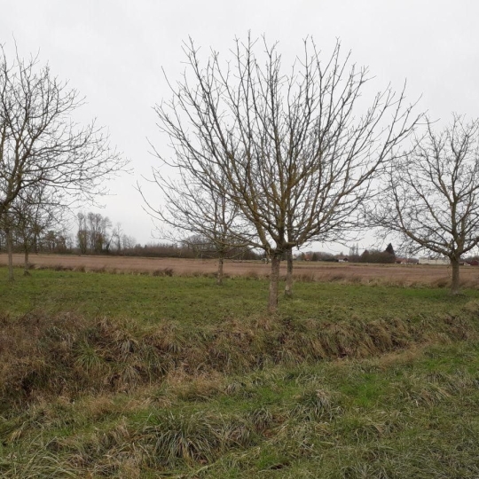  Agence Cosi : Ground | MONTAULIN (10270) | 0 m2 | 35 000 € 