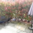  Agence Cosi : Maison / Villa | BREVIANDES (10450) | 65 m2 | 695 € 