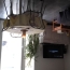  Agence Cosi : Appartement | SAINTE-SAVINE (10300) | 40 m2 | 590 € 