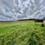  Agence Cosi : House | MESSON (10190) | 150 m2 | 183 600 &euro; 