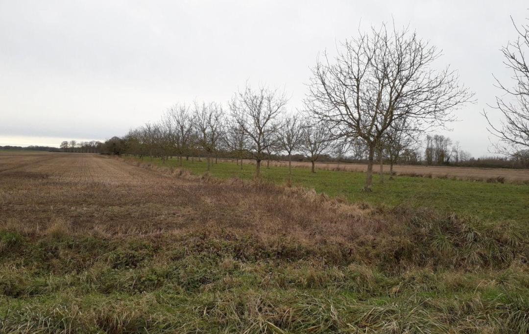 Agence Cosi : Ground | MONTAULIN (10270) | 0 m2 | 35 000 € 