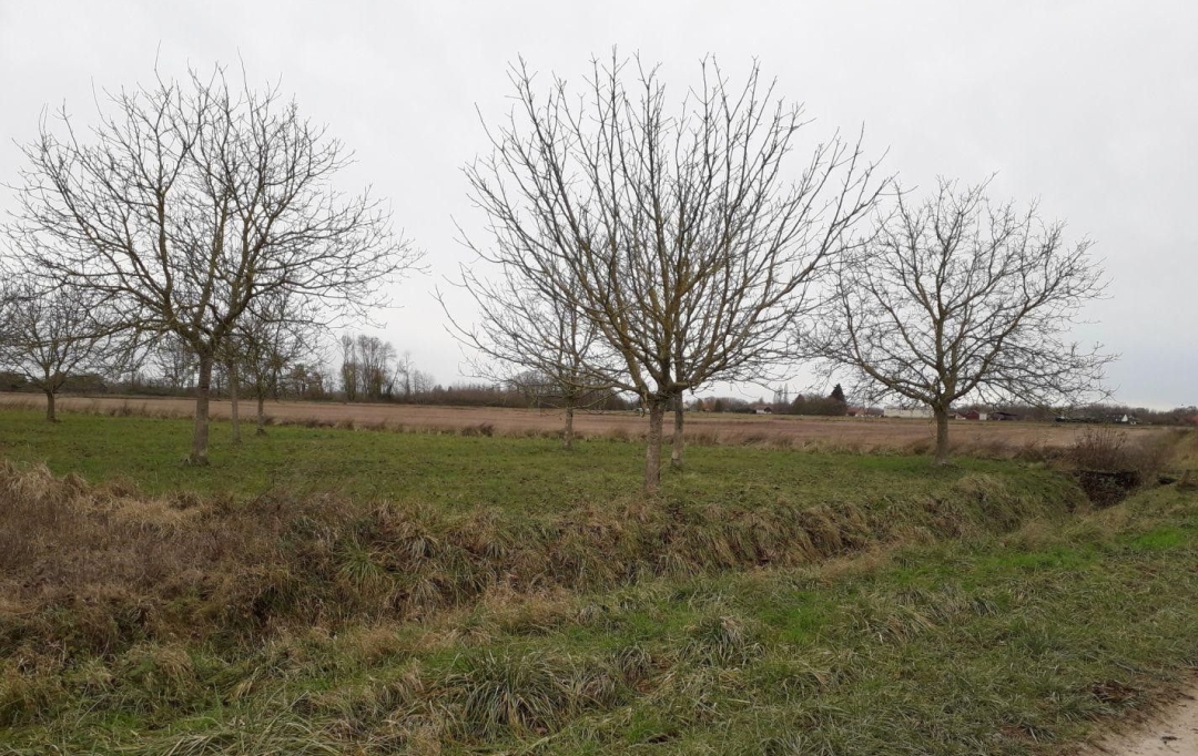 Agence Cosi : Ground | MONTAULIN (10270) | 0 m2 | 35 000 € 