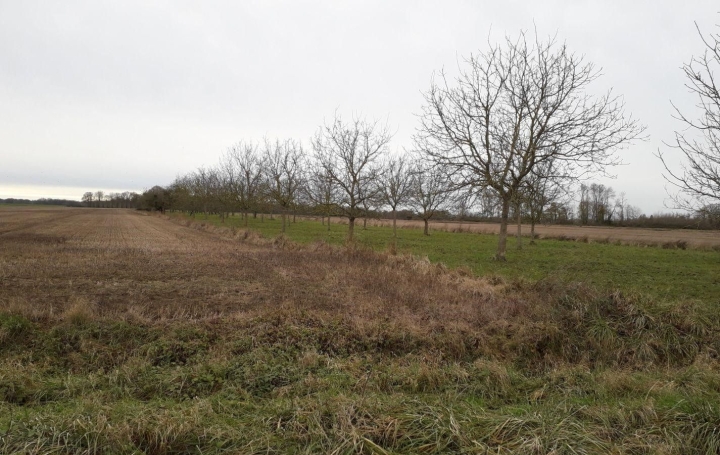  Agence Cosi Terrain | MONTAULIN (10270) | 0 m2 | 42 000 € 