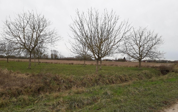  Agence Cosi Ground | MONTAULIN (10270) | 0 m2 | 35 000 € 